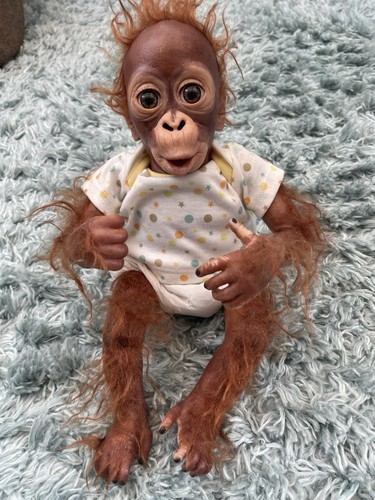Artist doll ashton - doll, drake