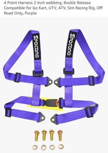 Four point racing - racing, harness