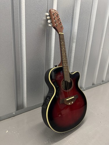 Ashbury electro acoustic - ashbury,