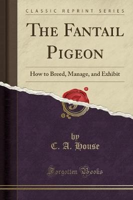 The fantail pigeon a - the,
