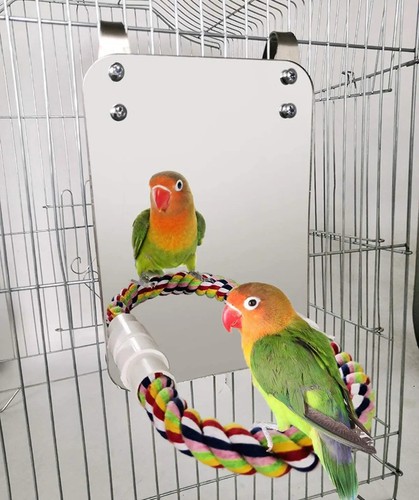 Parakeet rope perch - rope, with