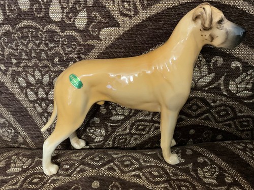 Beswick champion great - beswick, dane