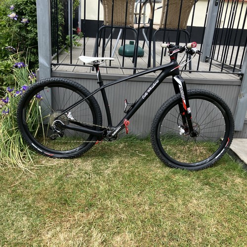 Custom carbon hardtail - custom,