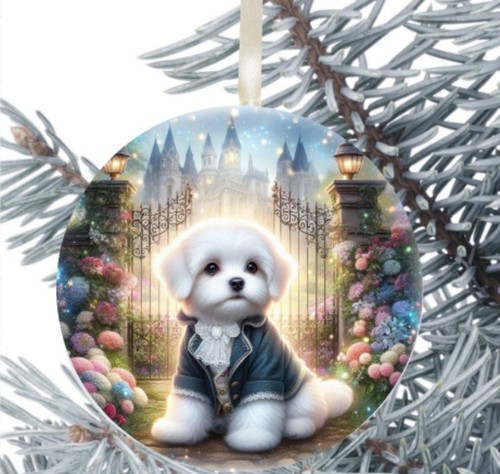Havanese dog hanging - hanging, bauble