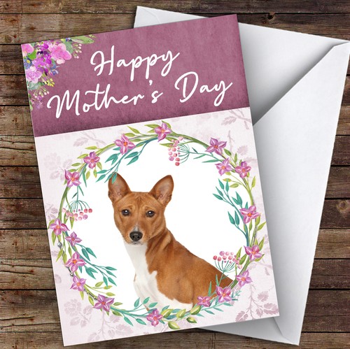 Basenji dog traditional animal - basenji,