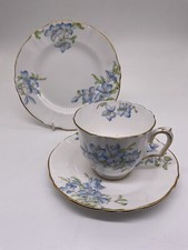 Rare Crown Staffordshire Floral Tea Cup & Saucer Blue Flower Leaf Pattern F15369