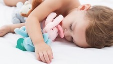 Minikoioi sleep buddy - minikoioi,