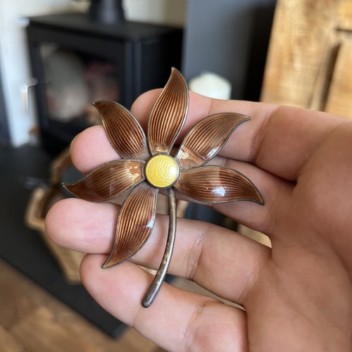 Large sterling silver enamel - silver,