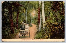 FL, Palm Beach, Jungle Trail