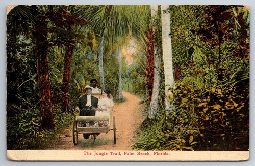 Palm beach jungle trail - palm, beach,