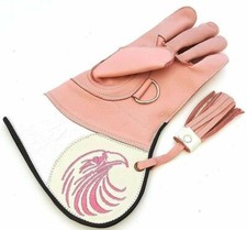 Falconry Glove Leather Bird