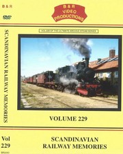 B & R Video Vol.229 -