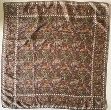 D3 A Brown Paisley Design 27