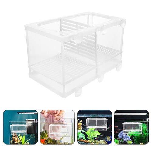 Fish breeding hatchery - fish,