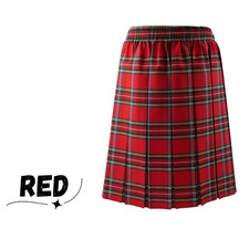 Girls School Knee Length Skirt