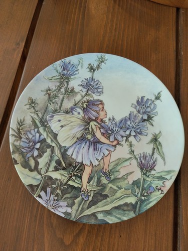 Wedgwood chicory fairy plate - wedgwood,