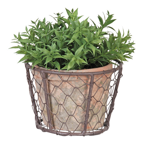 Handmade terracotta plant - terracotta,