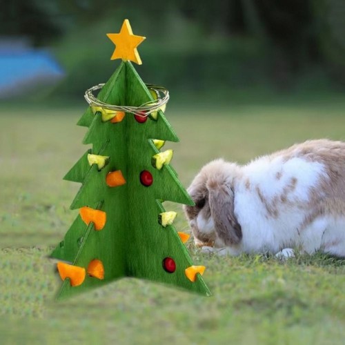 Hamster rabbit foraging - hamster,
