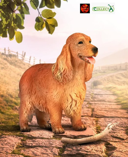 English cocker spaniel - english, toy