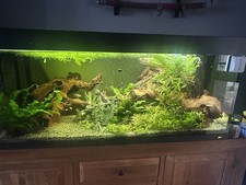 4ft Tropical Fish Tank Full Set Up with LED Lighting