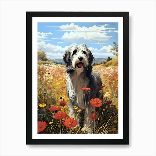 Bearded collie amidst the - collie,