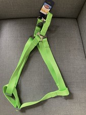 Bright Green Figure 8 Dog