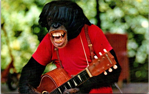 Monkey jungle guitar chimp - monkey,