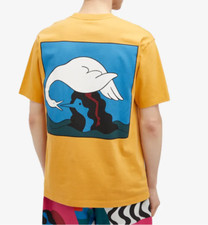 By Parra Swan To The Face