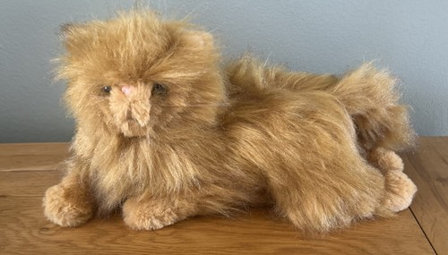 Harry potter hermione cat - harry, hermione’s