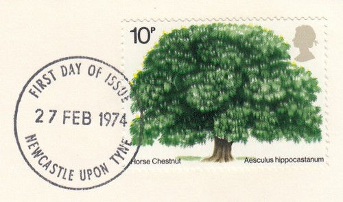 Horse chestnut tree used - horse,