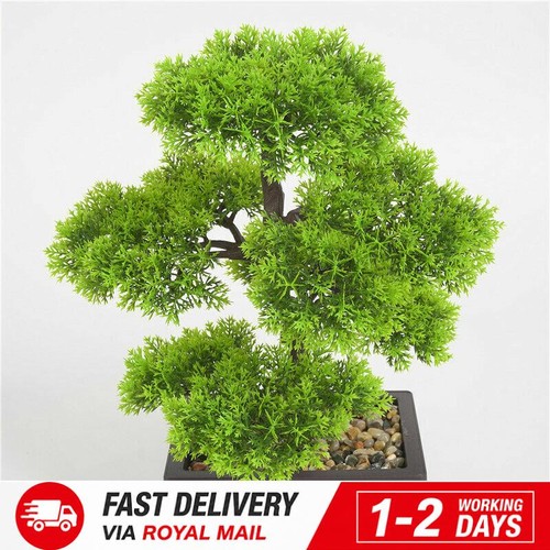 Artificial bonsai pine tree - artificial,