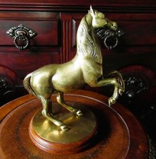 A Large and Heavy Solid Brass Vintage Rearing Horse Statuette 3.2kgs 11" Tall