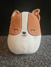 SQUISHMALLOWS REGINA CORGI DOG