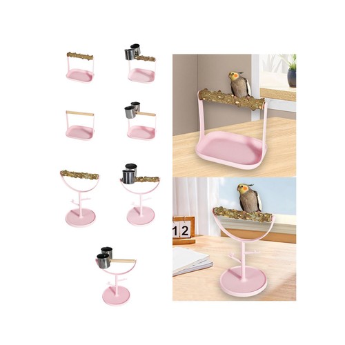 Parrot play stand - parrot,