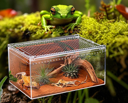 Spider enclosure transparent - spider,