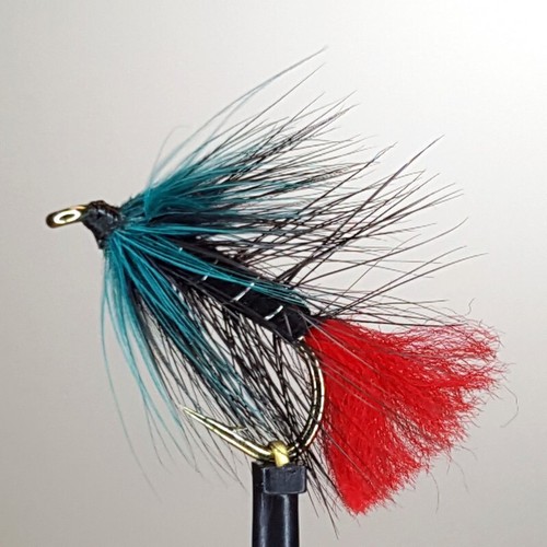 Blue zulu trout - 3, x