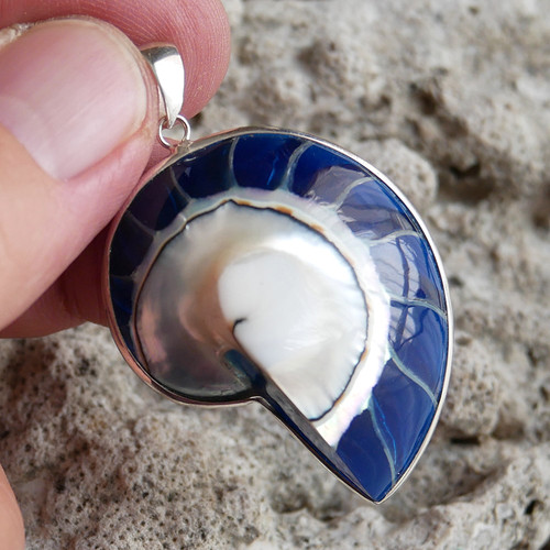 Medium size blue nautilus - blue,
