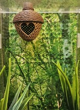 Jumping spider  Acorn hide in lace & fuzzy texture Attaches to top of enclosure 