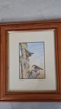 John Dolton Nuthatches 1994