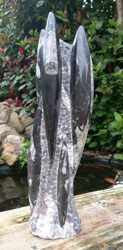 Large freestanding orthoceras - large,