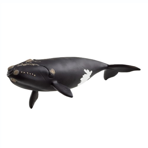 Schleich wild life north - wild,