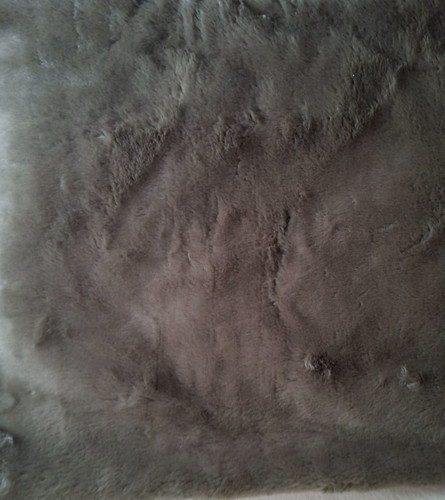 Taupe web plush fabric x - taupe, 50