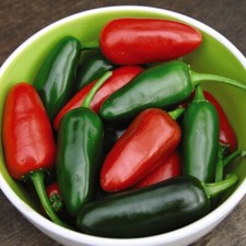 Thompson & Morgan Chilli