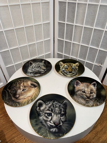 Princeton gallery cubs - princeton,