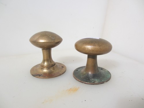 Victorian brass door - brass, knobs