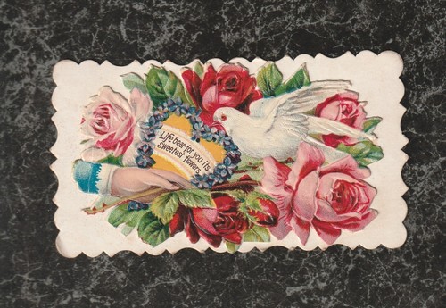 Victorian hidden name - hidden,