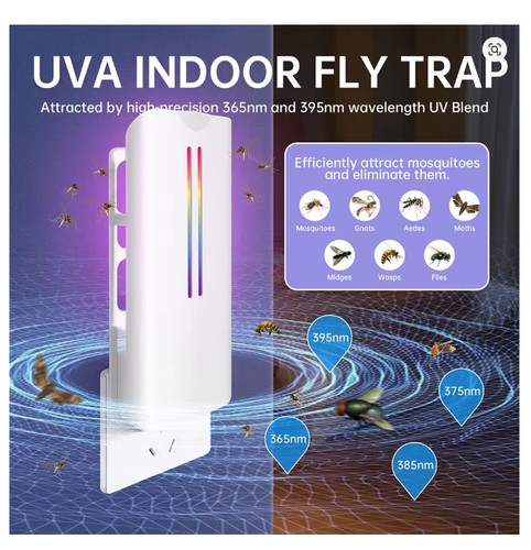 Flying insect trap plug - insect, in