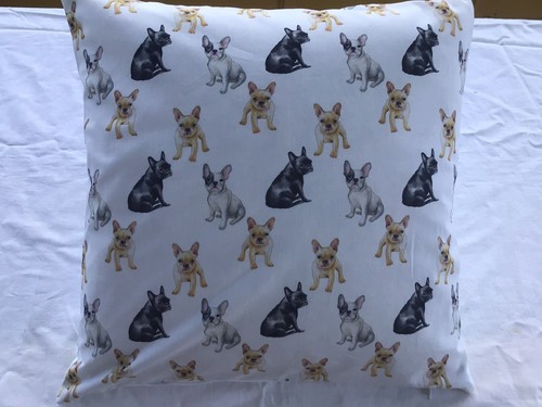 French bull terrier - french,