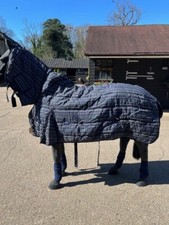 Loveson mediumweight stable