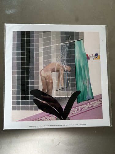 David hockney man shower in - man,